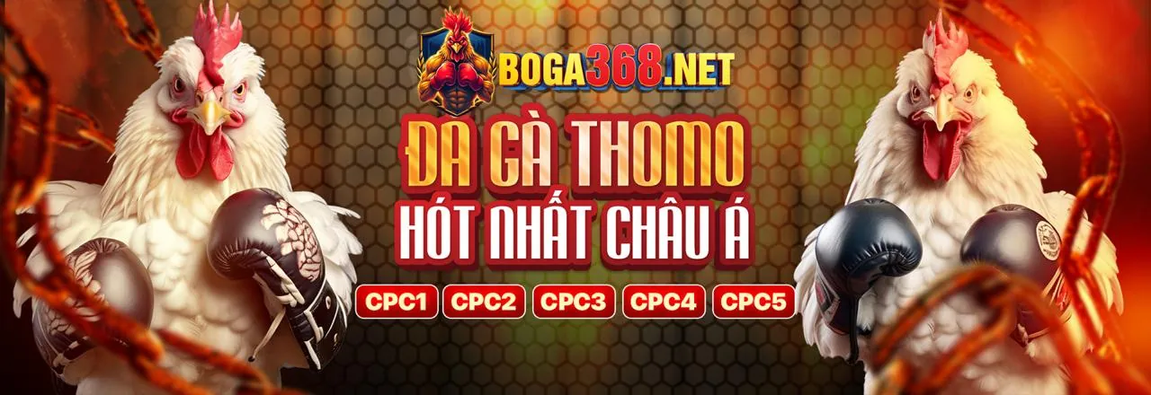 Đá gà trực tiếp tại go881 win với không khí sôi động