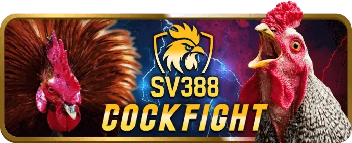 Cấp độ VIP Kim Cương go881 win